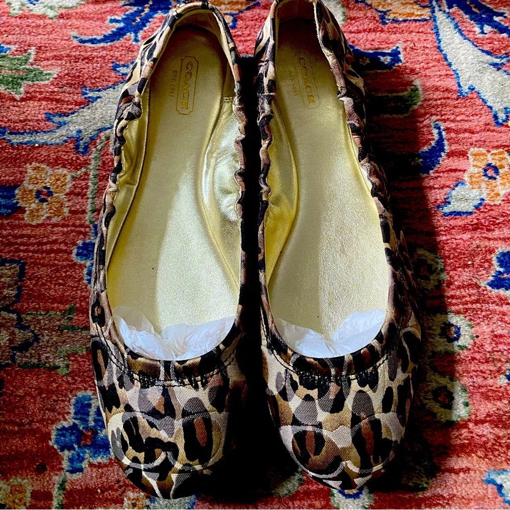 COACH NIB Aly Ocelot print ballet flats, size 10